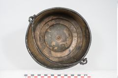 Foto von Bronzerippenziste (NHMW-PRAE-025670)